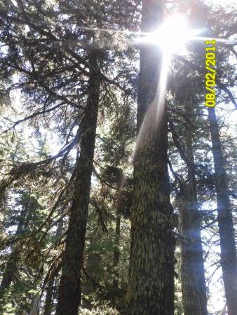 SAM_0203