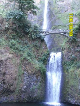 SAM_0233