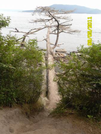 SAM_0284