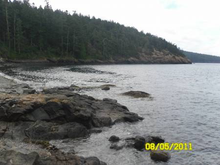 SAM_0312