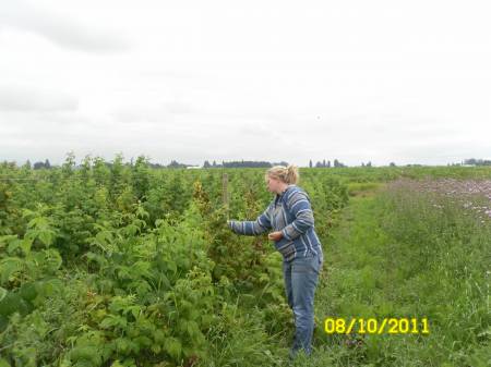 SAM_0979