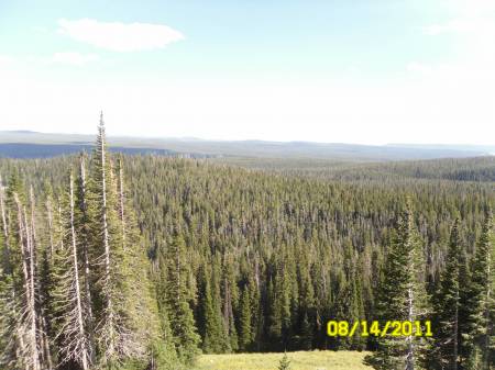 SAM_1584