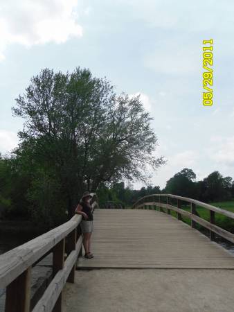 SAM_2586