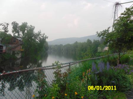 SAM_2880