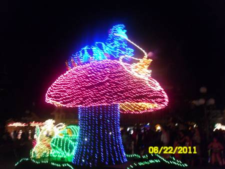 SAM_4080