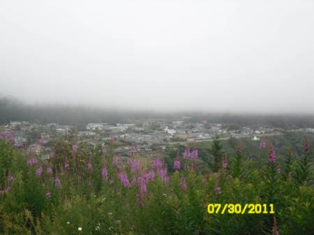 SAM_9635