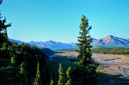 Teklanika River