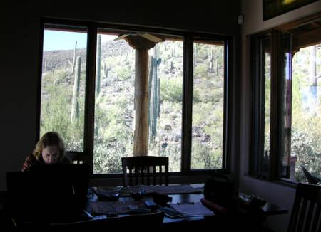 Working_view-21