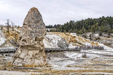 YELLOWSTONE_3923