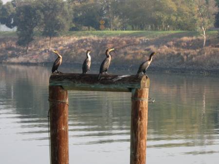 &quot;I've got your backs.  You guys get us some fish.&quot;