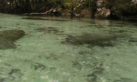 Crystal River