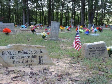 Coon Dog Cemetery Headstones