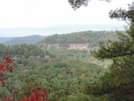 Red River Gorge