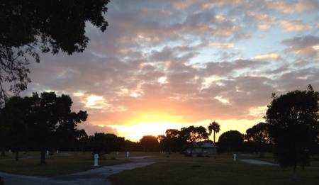 Flamingo Sunset