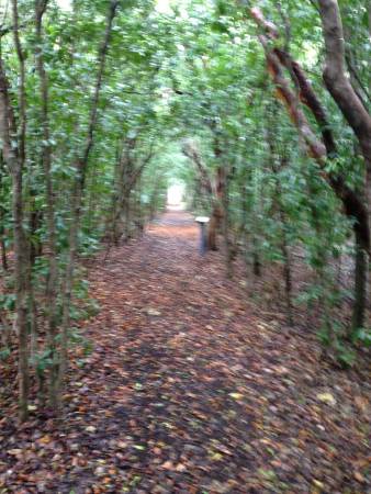 Trail to letterbox - keys