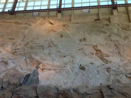 Dinosaur Quarry