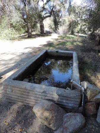 Barrel Springs