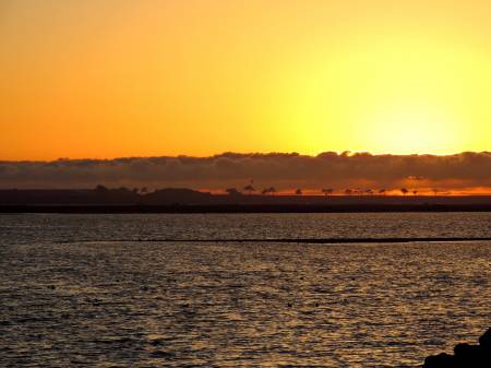 Pacific Sunset #2