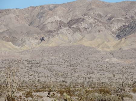 Ocotillo, CA