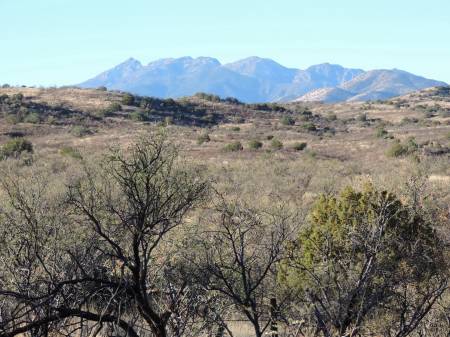 East side of Santa Rita Mtns