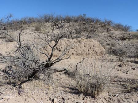 Contention City adobe wall