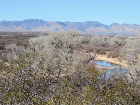 San Pedro River - view to North