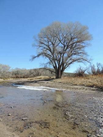 Back across San Pedro River