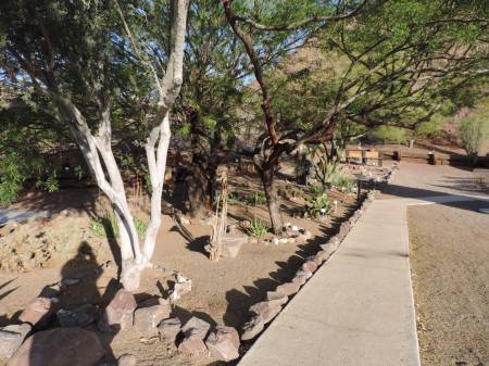 Cattail Cove - Cactus Garden
