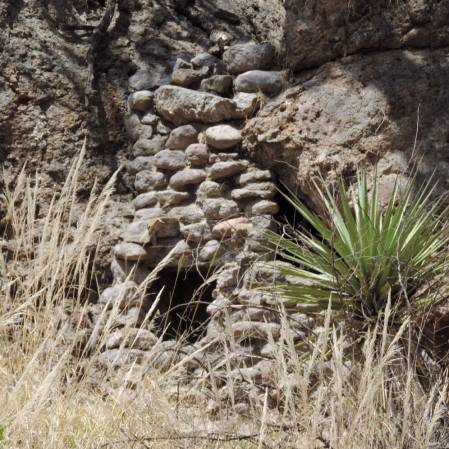 Chirachua NM - Bear cage