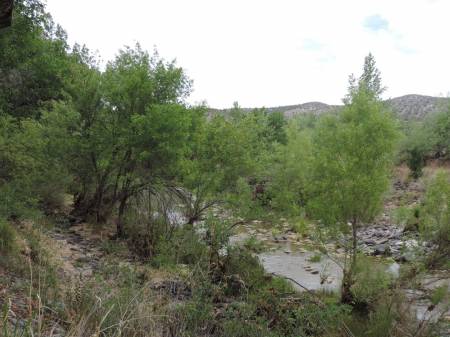 Wet Beaver Creek