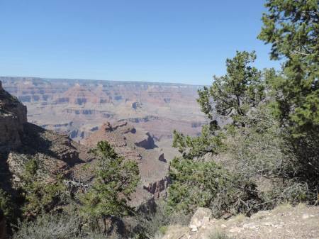 Grand Canyon view