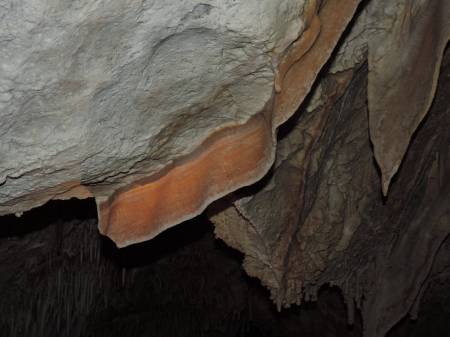 Lehman Cave bacon