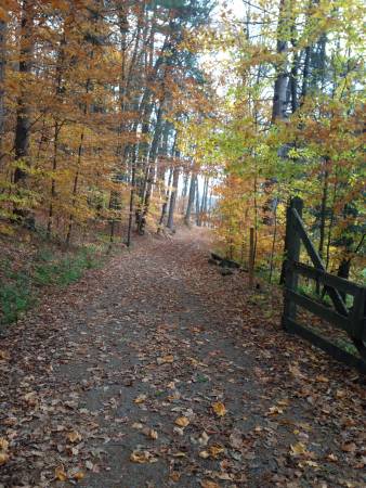 Jr Ranger Loop