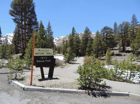 Trailhead -Tioga Road