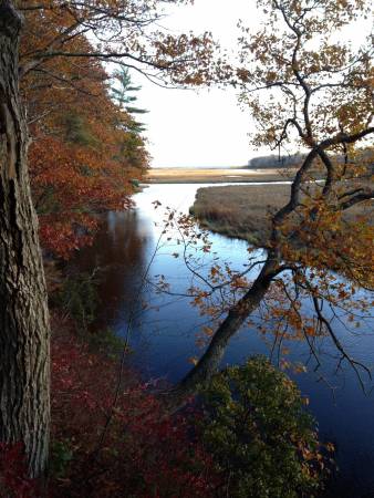 Rachel Carson NWR