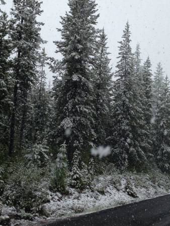 OR snowstorm - June Wallowa Mtns