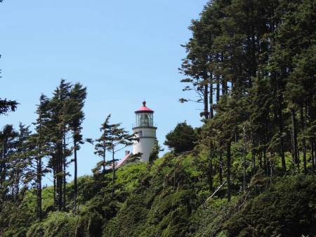 Heceta Head Lighthouse view
