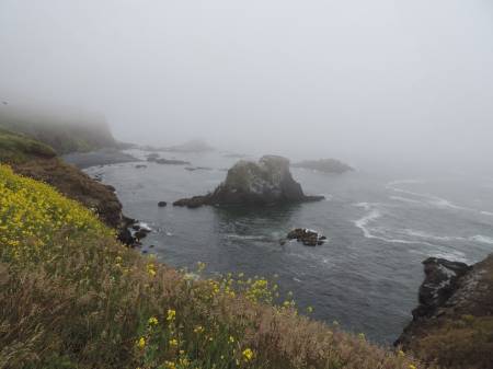 Yaquina Head view