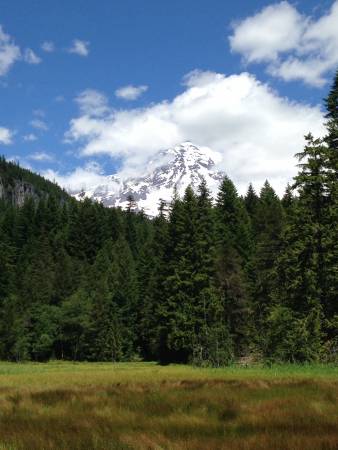 Mt. Rainer - from Longmire
