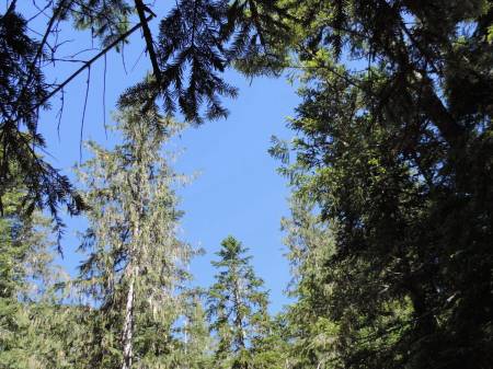 Blue Skies - July 2014 Mt Rainer