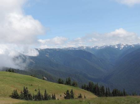 Hurricane Ridge