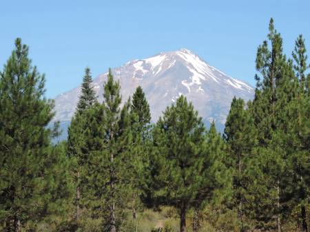 Mt. Shasta