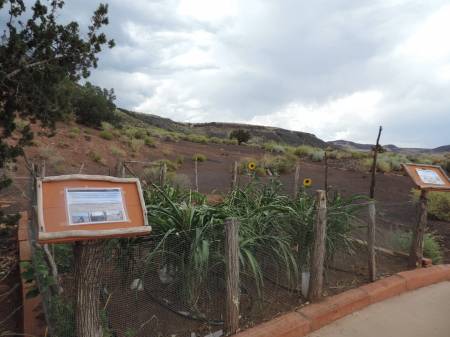 Native Garden at Wupatki NM