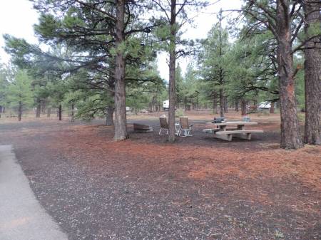 Bonito campsite - Flagstaff