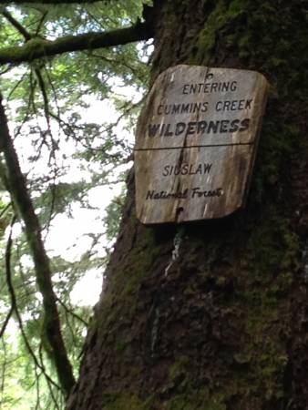 Cummins Creek Wilderness