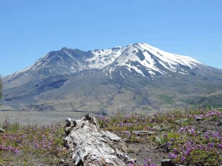 Mount St. Helens - Johnson Ridge