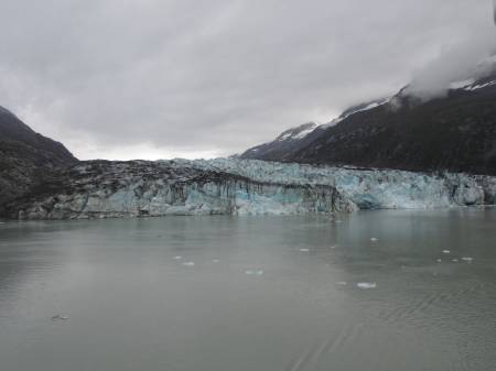 Lamplugh Glacier - Glacier Bay