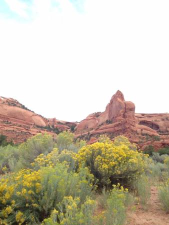 Along IR 13 AZ