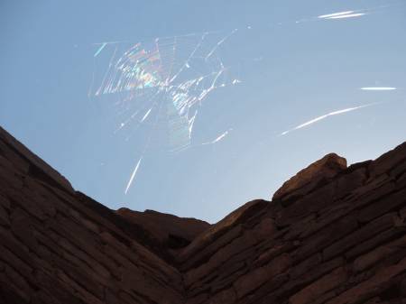 Spider web - Chaco