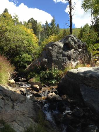 Creek side - Santa Fe NF